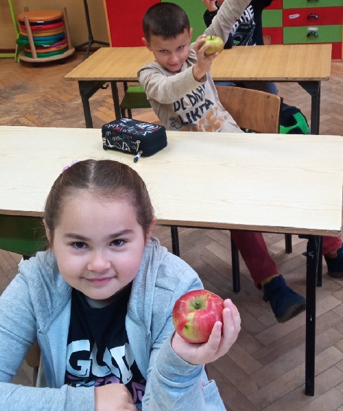 dzień jabłka w klasie pierwszej